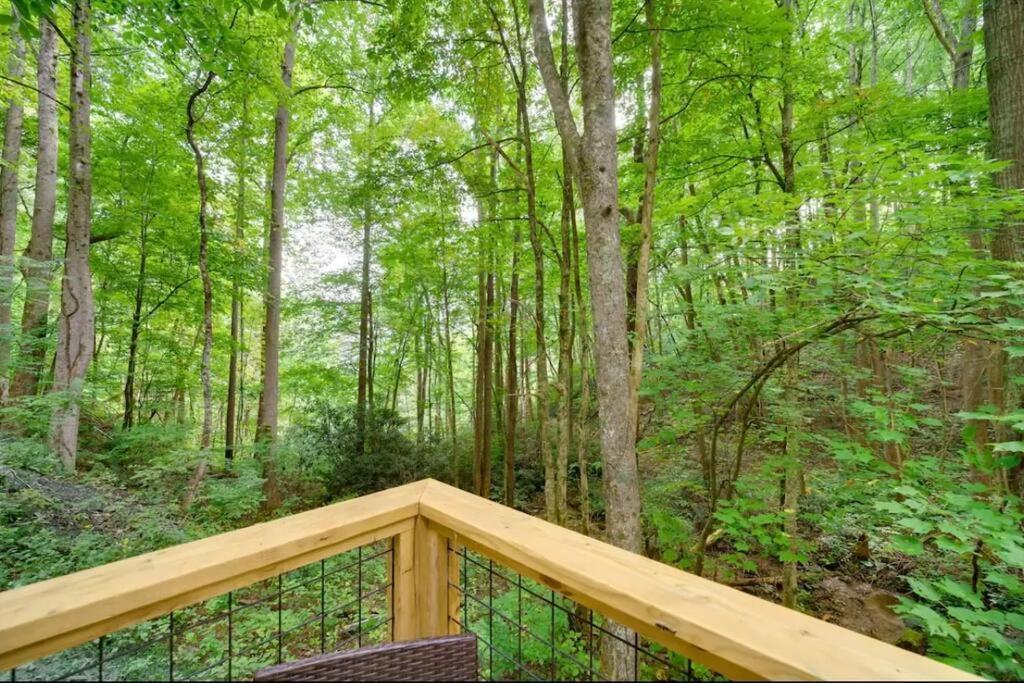 Outdoor Enthusiast's Dream Hiking & Rafting *